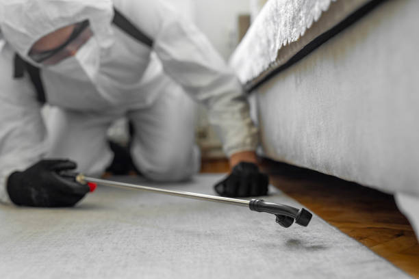 Professional Ant Control technician working in Brooklet, GA