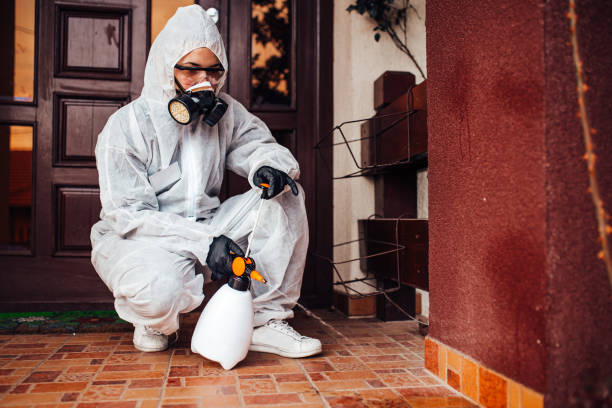 Reliable Ant Control contractor in Brooklet, GA by Show Me Pest Control